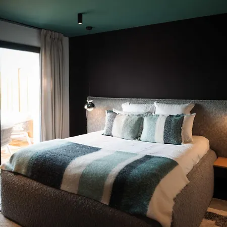 Loire Harmony 度假居 昂斯尼